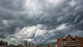 Жителей Брянской области 9 сентября ожидает температура до +15 градусов