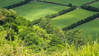 В Вязниковском районе совладелец земельного участка арестован за неуплату штрафов