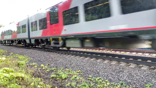 Предъявите документики: в Госдуму внесли законопроект о QR-кодах в транспорте