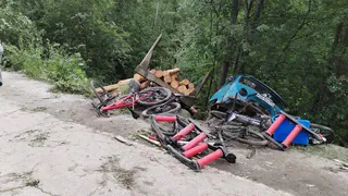 Прекращено дело водителя лесовоза, сбившего спортсменов в Челябинской области