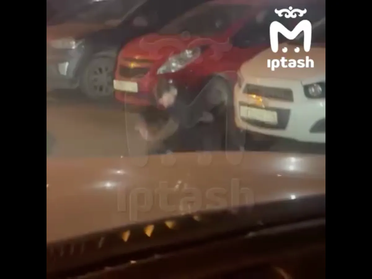 В Казани таксист избил пассажира на улице Рахлина