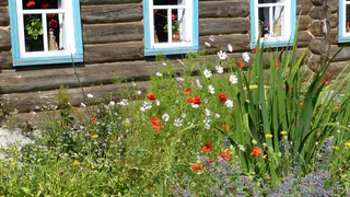 Дачники не ожидали: за туалет на даче будут жестко наказывать с 17 мая