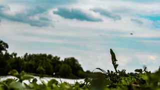 Купальный сезон открыт: обзор рязанских пляжей