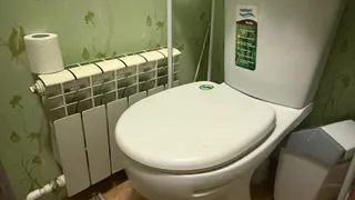 У японцев есть поразительное правило, касающееся похода в туалет: его придется соблюдать даже в общественных уборных