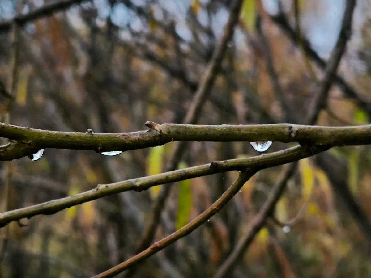 Прогноз погоды в Челябинской области на 15 марта: осадки и температурные качели