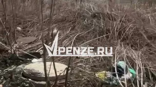 Пензенская зона отчуждения, или во что превратилась парковая аллея за 10 лет на улице Крупской