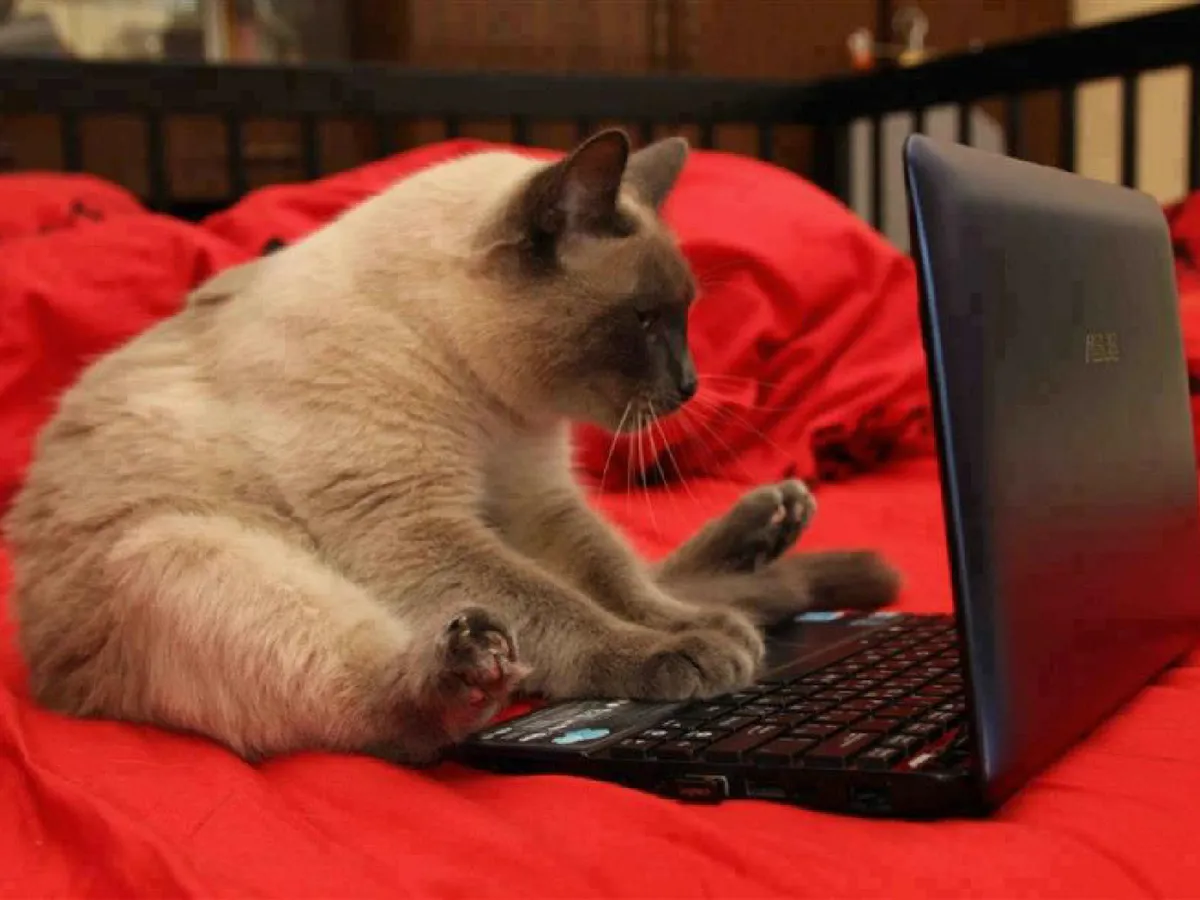 Как провести остаток каникул и завершить неделю?