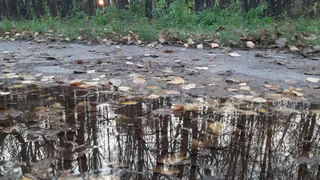 В понедельник в Рязани ожидается до +9 градусов. Прогноз погоды