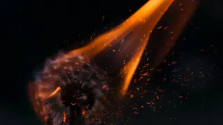 За неделю в Рязанской области пожарные ликвидировали около 50 возгораний