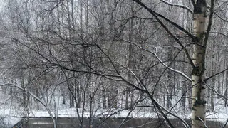 24 апреля в Коми принесет дожди со снегом и ощутимый температурный контраст