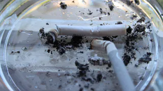 Здравоохранение РФ сообщает: рязанцы стали больше курить