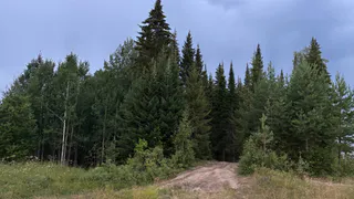 Жителей Чувашии 9 августа ждут благоприятные погодные изменения