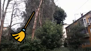 "Я сама убиралась, косила, подметала": жительница улицы Пушкина не понимает, куда в Рязани исчезли дворники