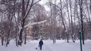 Жители Нижнекамска жалуются на работу коммунальщиков