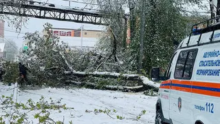 После циклона в регионе заменили более 100 пролётов линий электропередачи