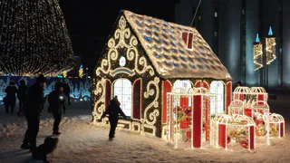 Новогодняя погода‑2026 в России: где ждать морозов, где снега, а где — и того, и другого 