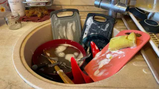 Немцы не ополаскивают посуду от моющего средства — и вот почему: причина шокирует — дело не в экономии денег