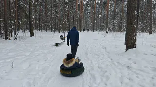 В Татарстане за год высадят 1,2 тысячи гектаров леса по нацпроекту
