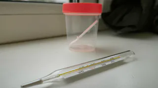 В Коми по итогам 2025 года зафиксировали снижение ВИЧ-инфекции и ряда опасных заболеваний