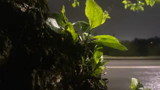 Рязанские ученые отменили теплый конец марта