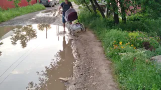 Ямы на улице Тюленина: в управлении благоустройства подумают о выравнивании улицы