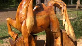 В парке «Сказка» Гусь-Хрустального поселился «Конек-Горбунок»