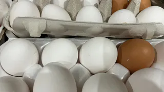 Нужно ли солить воду при варке яиц - запомните раз и на всю жизнь. Шев-повар поставил точку