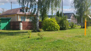 Узнал, как выглядят настоящие дома американцев внутри и снаружи и был в полном шоке – главные отличия от русских