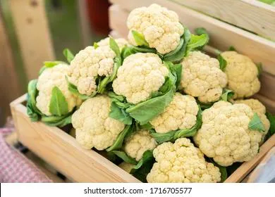 Правильно варим цветную капусту