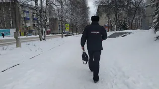 Более 2,5 тысяч полицейских обеспечат безопасность татарстанцев в новогодние праздники