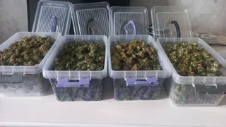 В квартире 32-летнего владимирца нашли запрещенные вещества