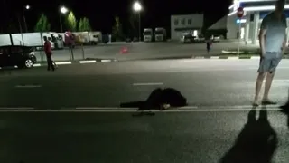В Брянске ищут водителя, насмерть сбившего пешехода
