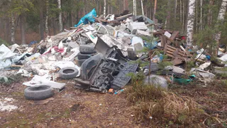 В лесу под Владимиром устранили свалку вблизи озера Круглица после жалобы местного жителя