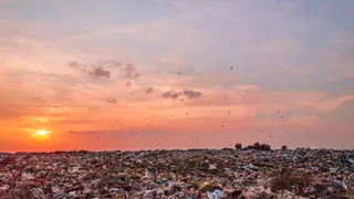 Противники нового мусорного полигона под Рязанью создали петицию