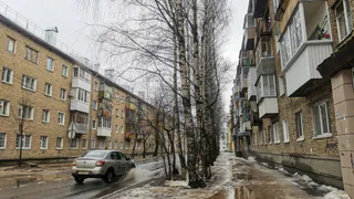 Каким будет лето 2025 после аномально теплой зимы: эксперты ответили, к чему нужно готовиться садоводам