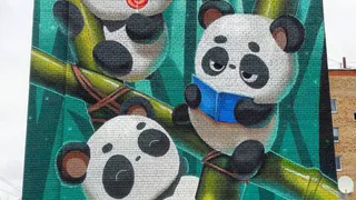 Кто нарисовал "бик матур Панду?"