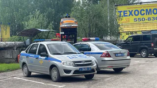 Эти простые приёмы помогут избежать встречи с сотрудниками ДПС, даже если забыли документы