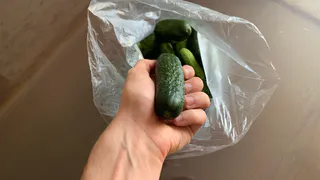 Жаль, что раньше не знал, как правильно хранить огурцы свежими 5-6 месяцев до самого Нового Года без консервации