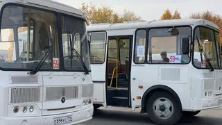 В Нижнекамске запустили два новых автобуса на экотопливе