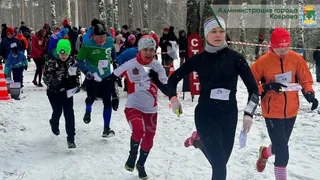 Ковровские спортсмены завоевали десятки медалей на всероссийских и региональных турнирах