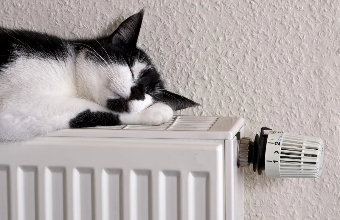 В Нижнекамске начали отапливать школы, больницы и детсады