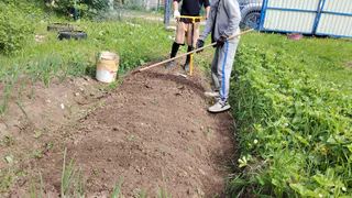 Лишние кабачки я не раздаю, а закапываю обратно в грядки: вот для чего это делаю - соседи смеются, потом будут плакать