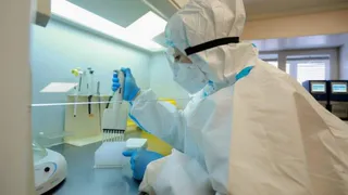 Новые подробности о птичьем гриппе на АО "Птицефабрика Зеленецкая"