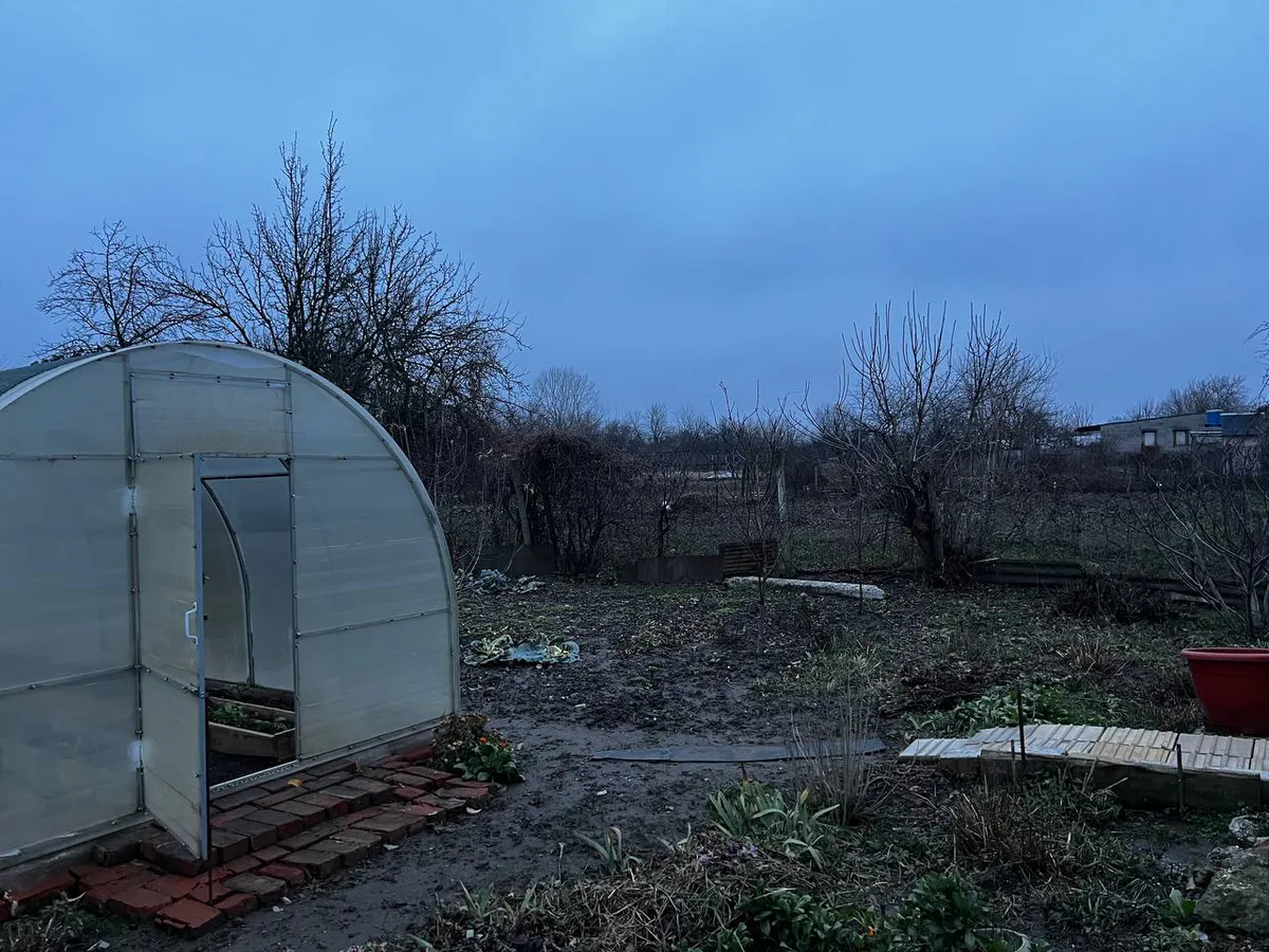 Россияне лишатся "второго хлеба": теперь за посадку картофеля на даче начнут поголовно штрафовать