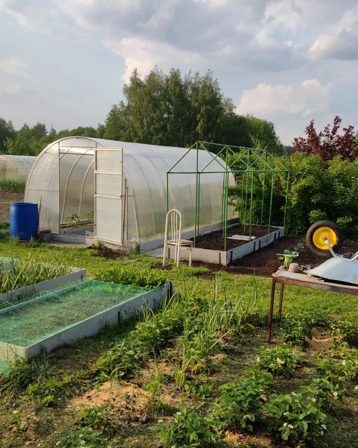 Наконец нашел идеальное решение, чем закрыть дорожки между грядок в огороде - бюджетный способ, о сорняках больше не вспоминаю