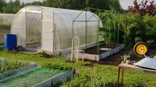 Наконец нашел идеальное решение, чем закрыть дорожки между грядок в огороде - бюджетный способ, о сорняках больше не вспоминаю