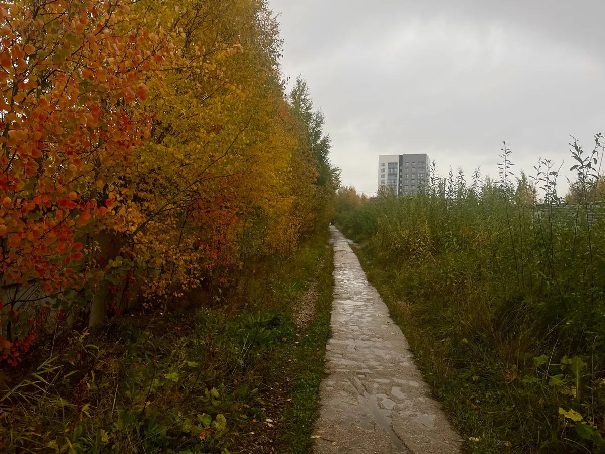 Три скоростных циклона пройдут через Челябинскую область