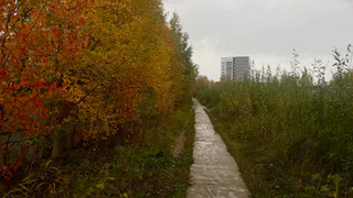 Три скоростных циклона пройдут через Челябинскую область