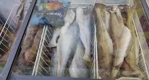 Названа самая полезная для человека рыба - ешьте дважды в неделю, богата селеном, фосфором и вкусная