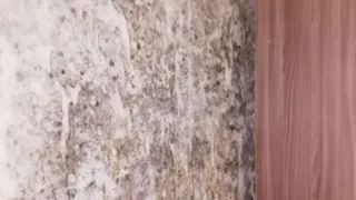 В каких кабинетах предстоит учиться первоклассникам? Рязанка пожаловалась на плачевное состояние школ